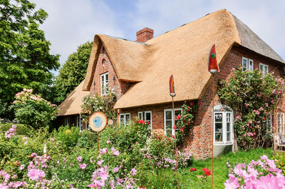 wdr_ausflugsfahrten_ab_foehr_inselrundfahrt_header